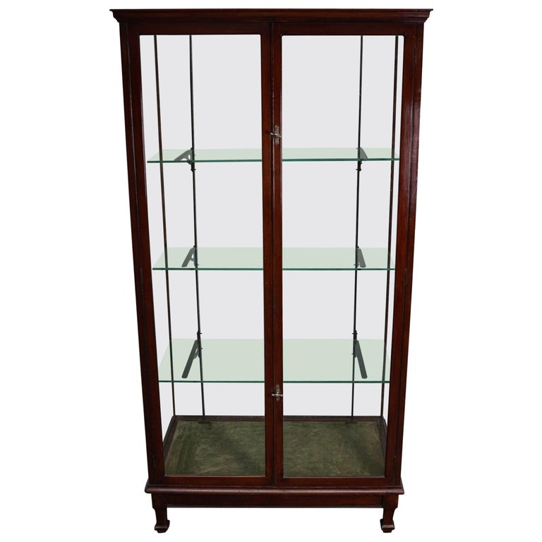 Victorian Mahogany Museum / Shop Display Cabinet or Vitrine, Late 19th Century