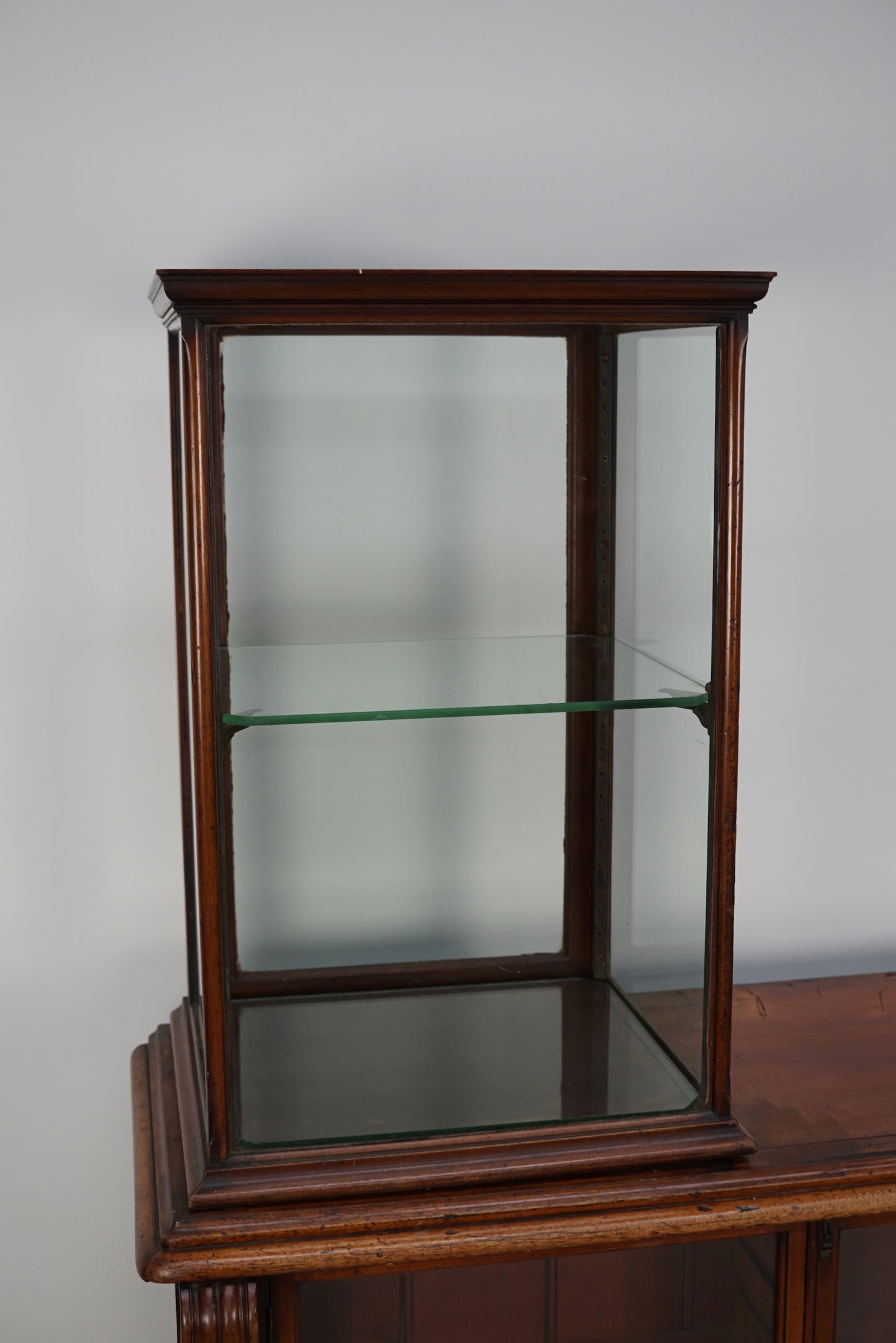 English Victorian 19th Century Apothecary Shop Counter / Vitrine